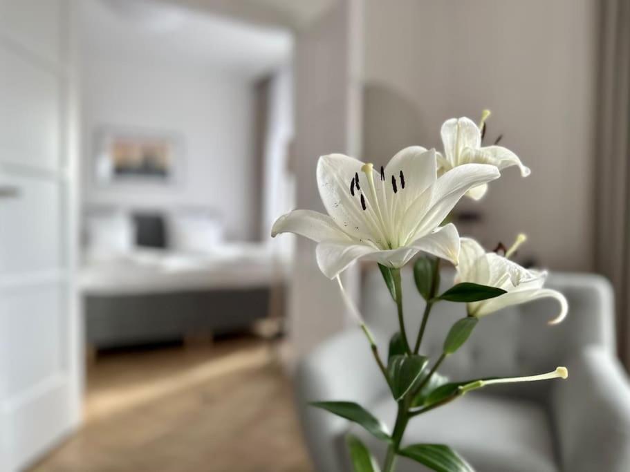 Premium Apartment By Hi - Central 2 Bedroom - Best View Βουδαπέστη Εξωτερικό φωτογραφία